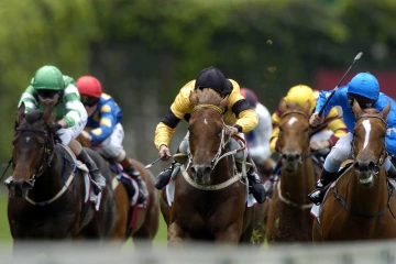 horses racing