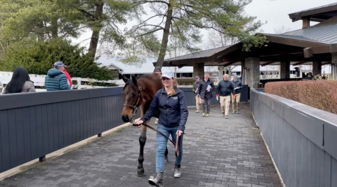 Taylor Owens leads a horse at Keeneland